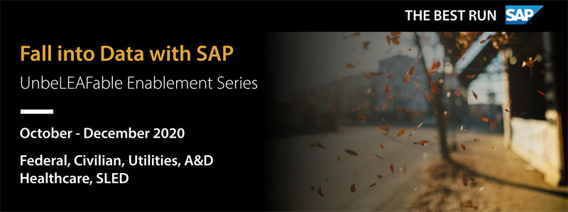 Fall into Data with SAP
