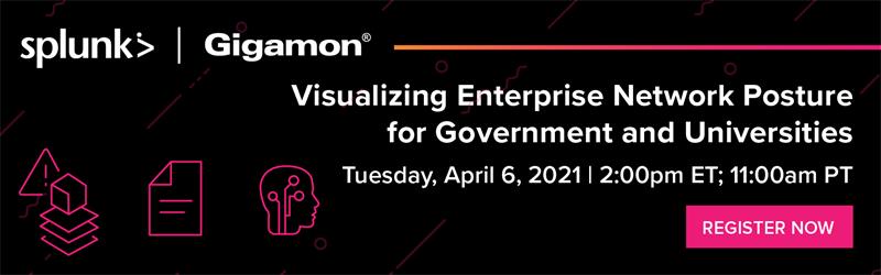 Visualizing Enterprise Network Posture for Government and Universities