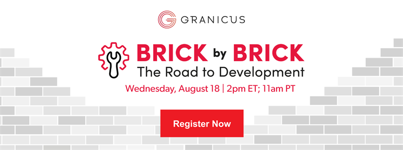 Brick by Brick: The Road to Development