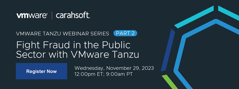 Fight Fraud in the Public  Sector with VMware Tanzu